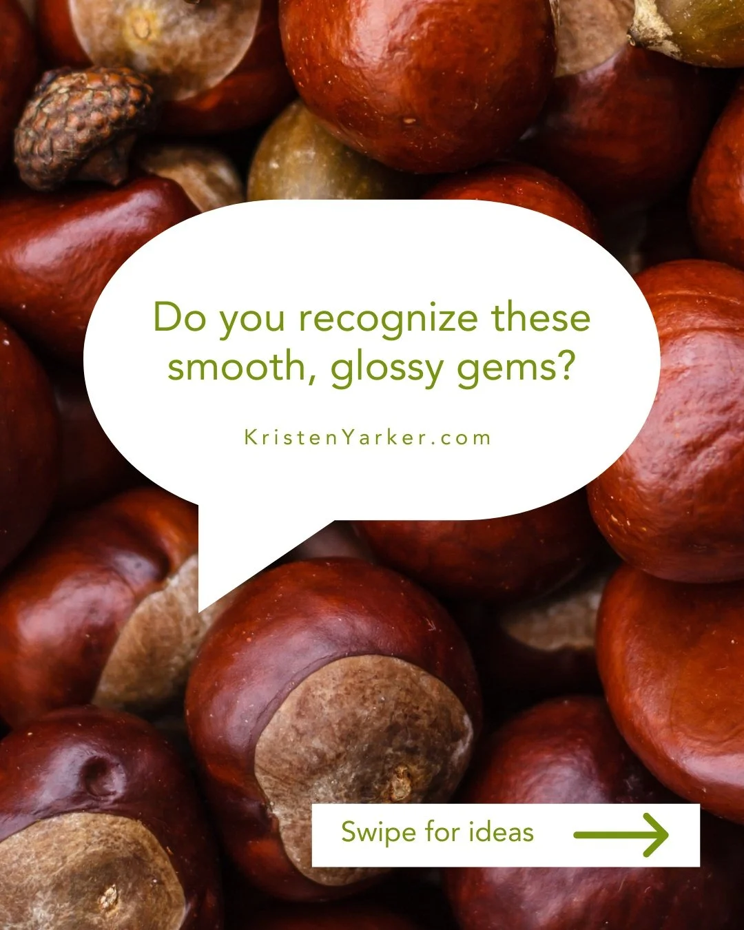 You might think of these as holiday treats, but these smooth, glossy gems are actually packed with wellness benefits. 🌰

Unlike most nuts, they&rsquo;re lower in fat and rich in vitamin C &mdash; yes, vitamin C in a nut! They also contain complex ca