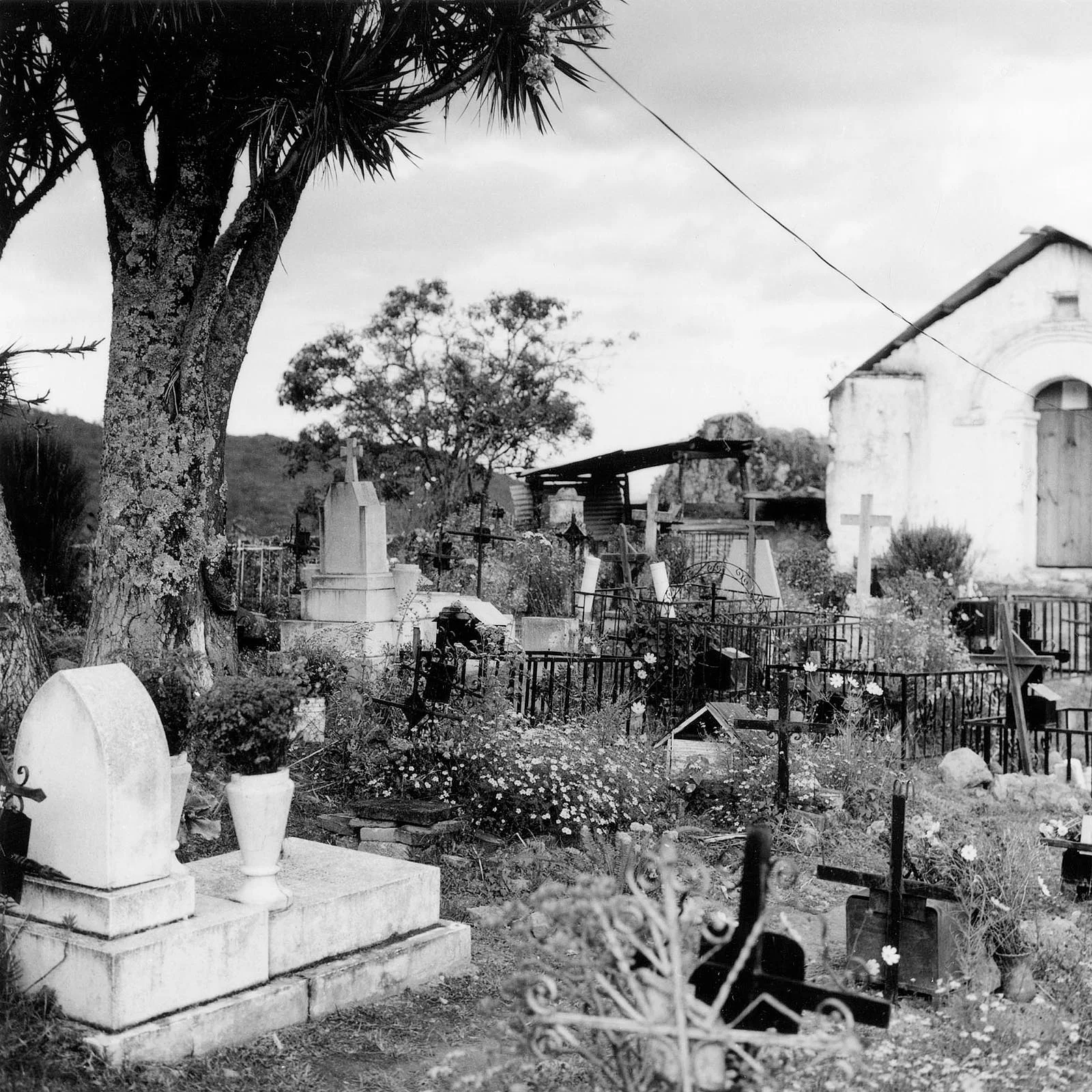 Amatlan, Oaxaca, 2017