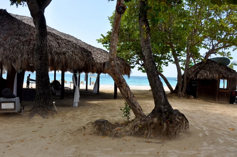 2018-04-21-beachrecep.jpg