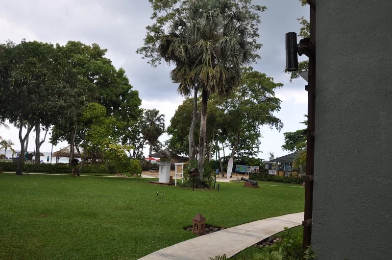 2018-04-21-lawn.jpg