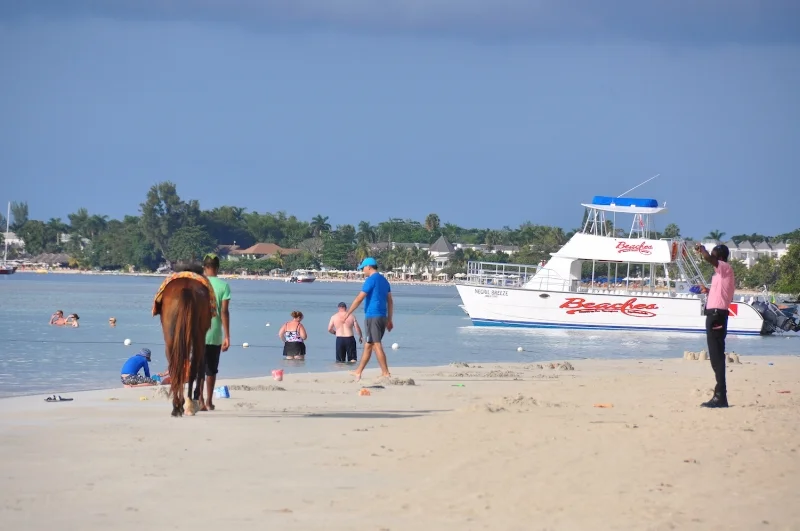 B negril water front horse2017-12-06 15.06.34.jpg