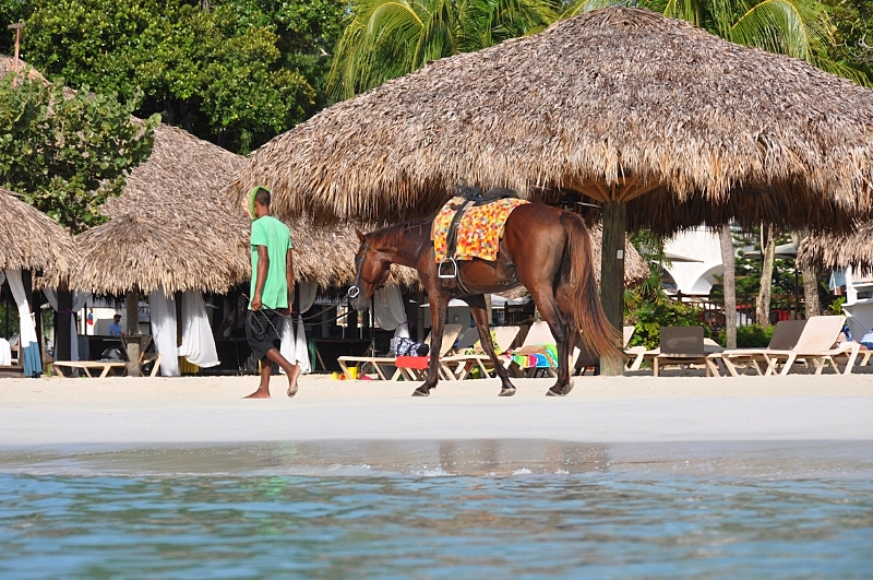 Beaches Negril
