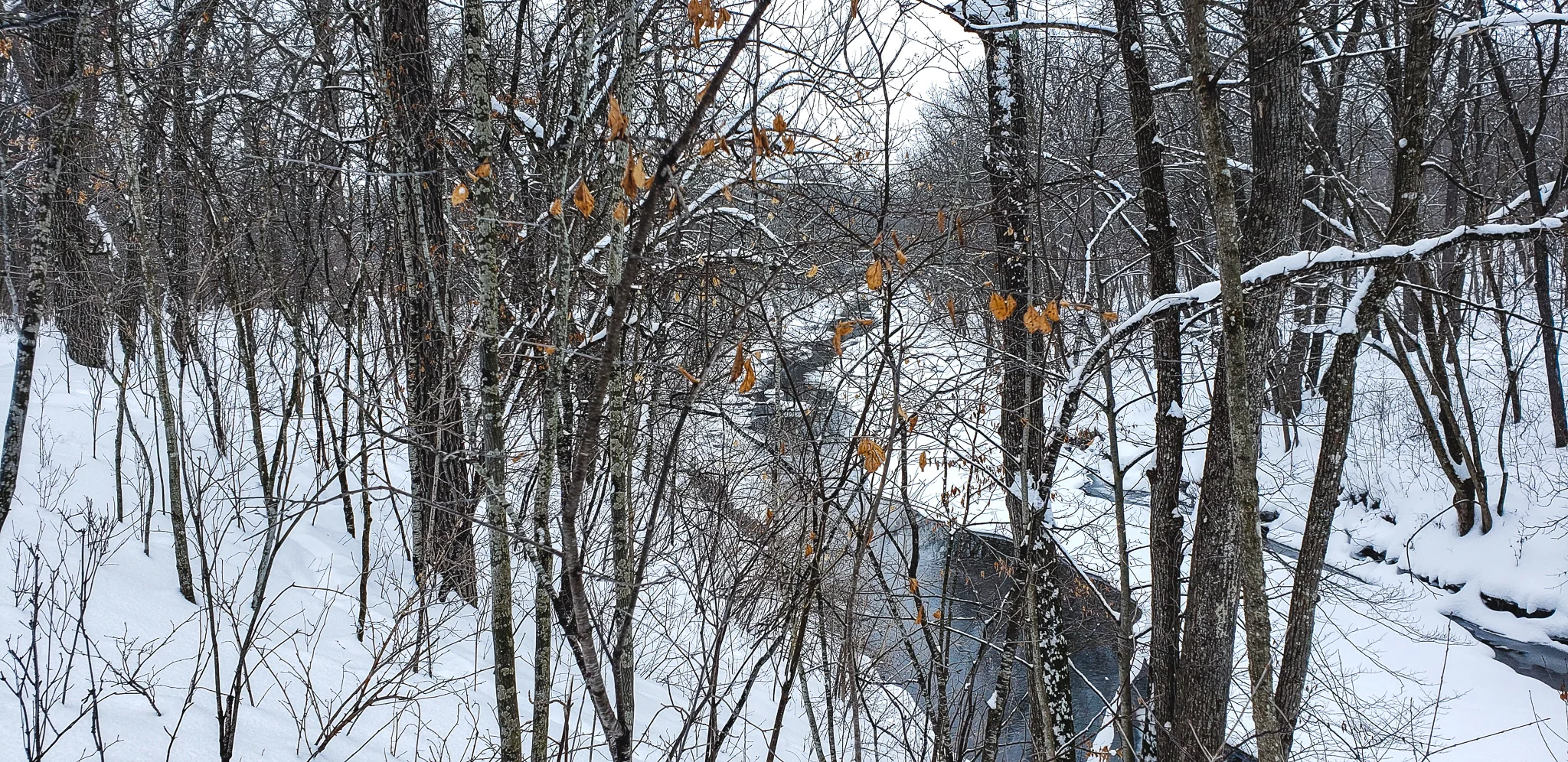 20190223_112553.jpg