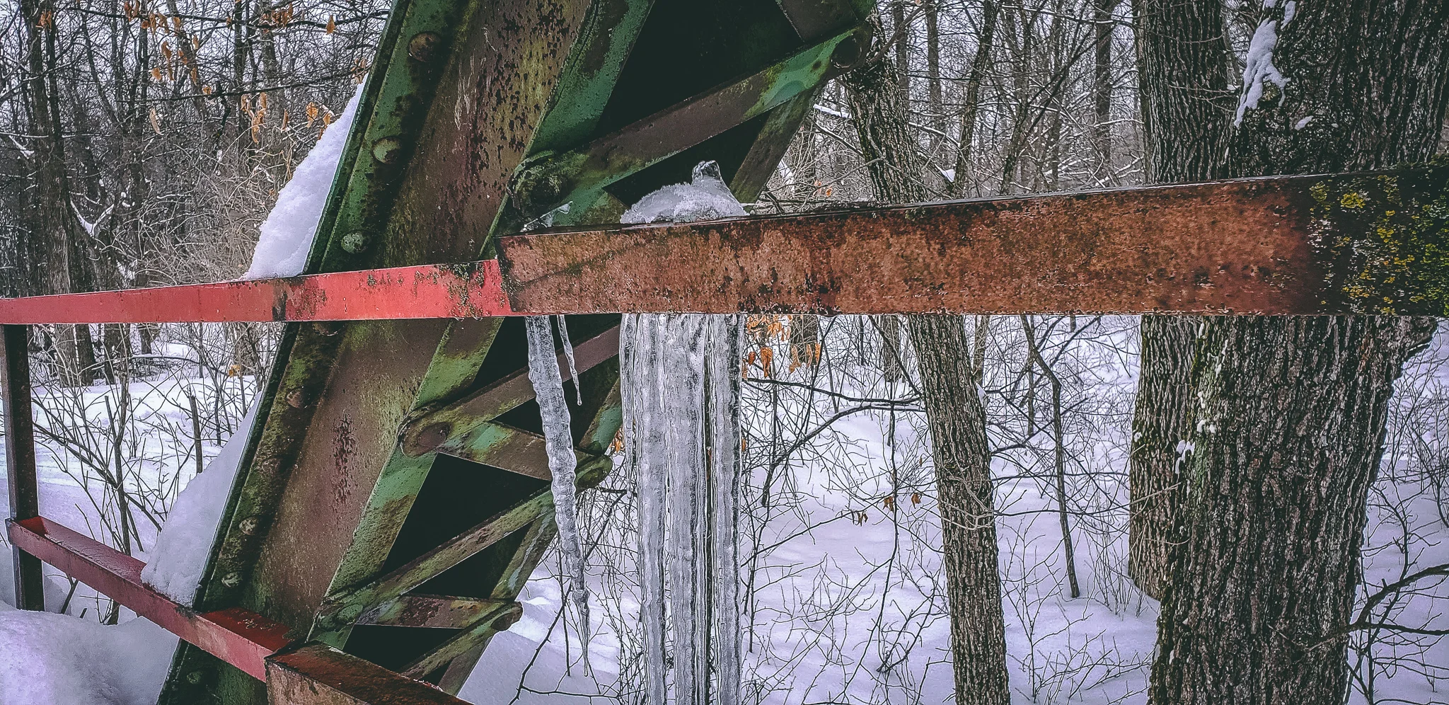 20190223_113010.jpg