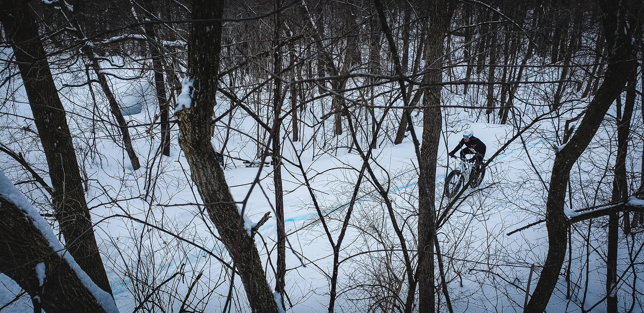 20190223_115258.jpg