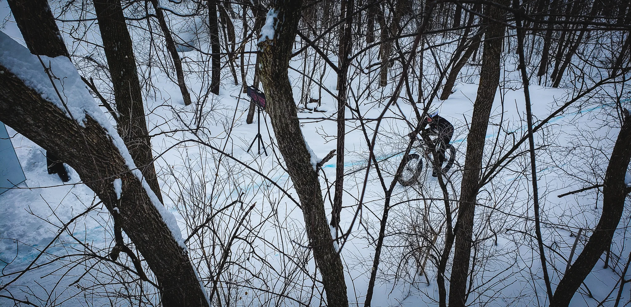 20190223_115259.jpg