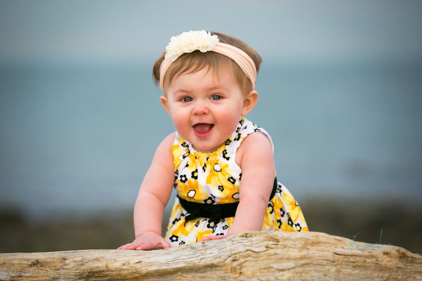 077 c.hoff©josephs.com2016.jpg