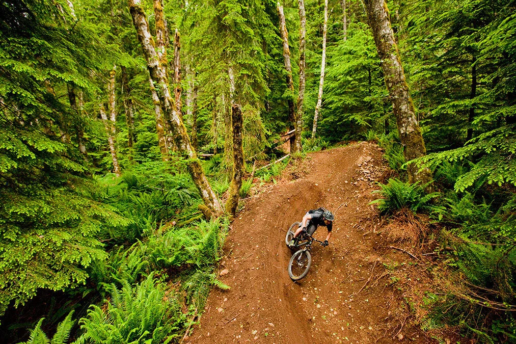 Mountain+Biking.jpeg