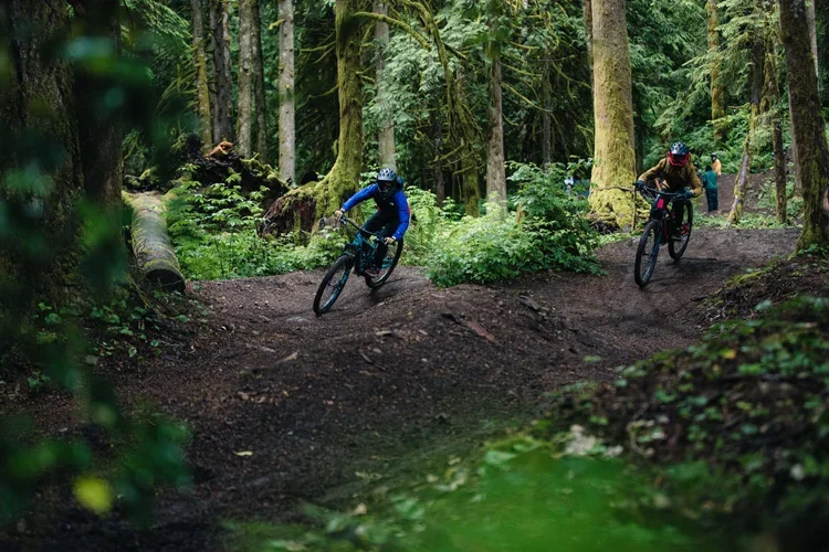 mountain bike turns.webp