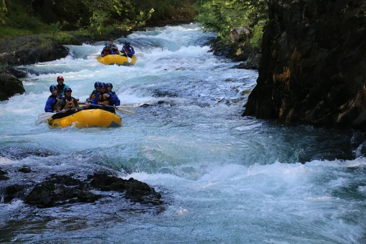 rafting.webp