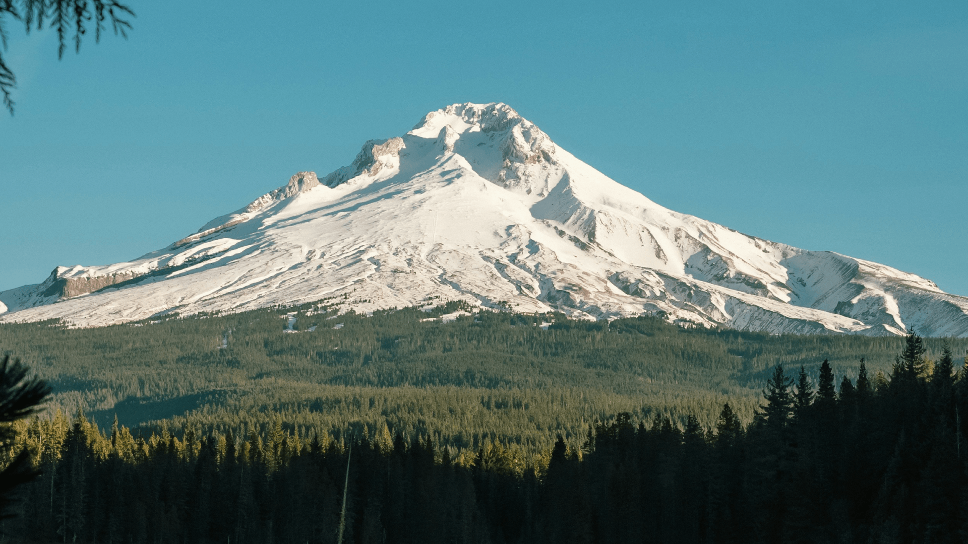 Mt.-Hood-Windells-Homepage-Background-Image.png