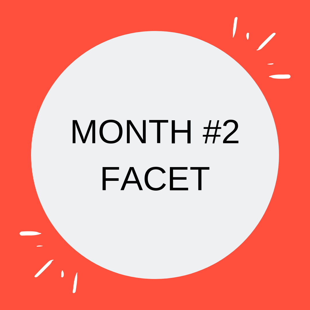 Conversation Sampler MONTH #2 FACET.png