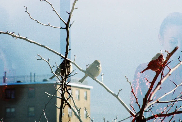 S429884-R4-034-15A.jpg