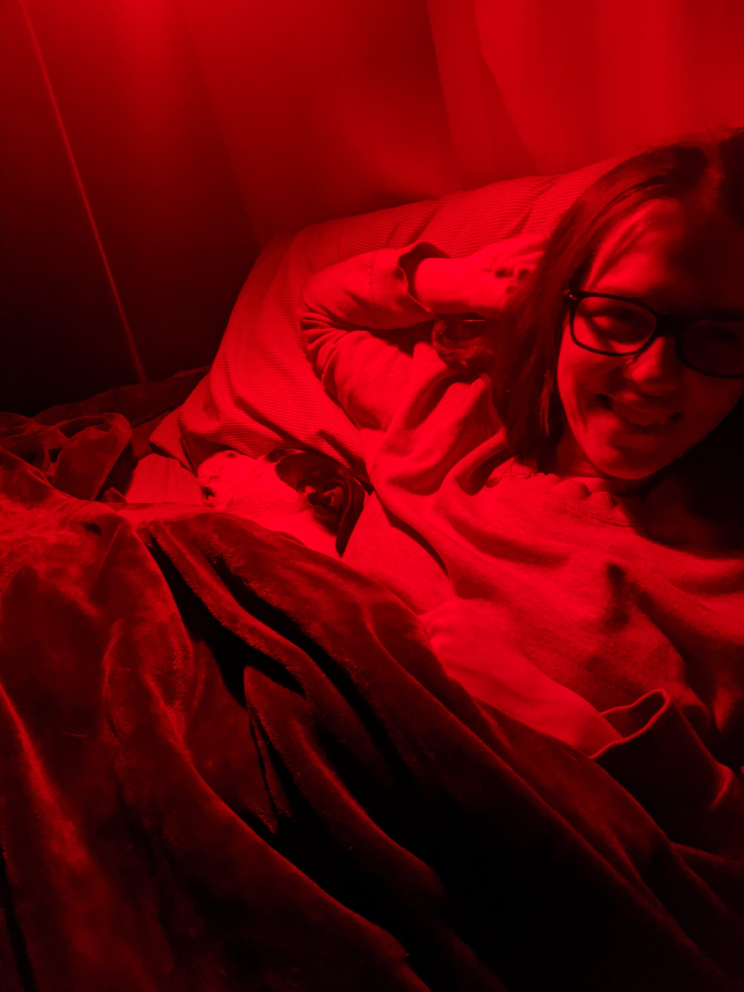 Notice our dog Poncho, who is not allowed to be in our bed any more :( Because of a fantastic book called the Brighton Method.