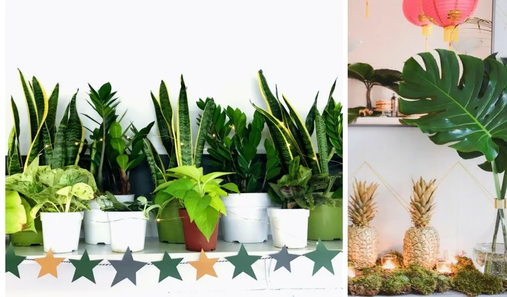 Left photo by Léon & George , right photo by @clareesparros .