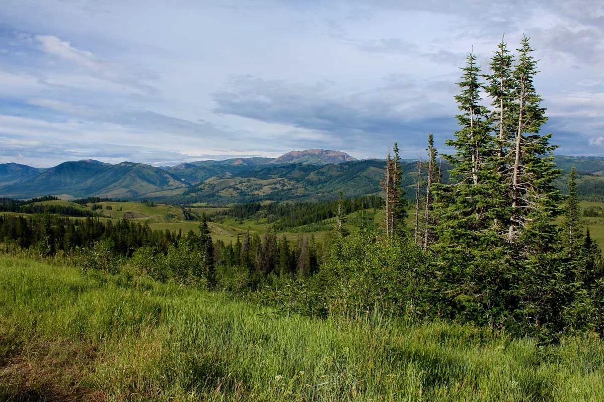 Bridger-Teton National Forest, Wyoming - photo by the National Forest Foundation