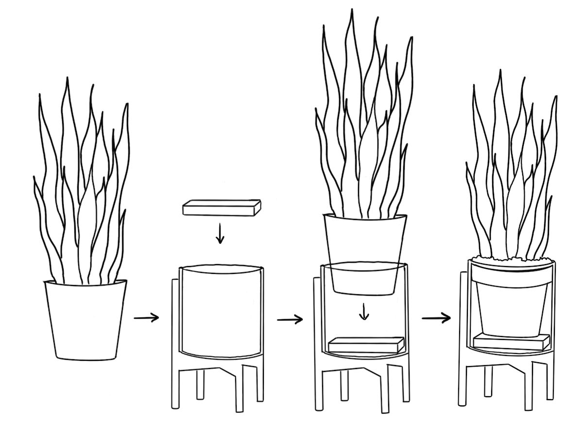 Inside their decorative mid-century ceramics, our plants live in their nursery pots, allowing for better control over moisture levels, optimal root health, and easy repotting (when the time comes!). Illustration by Kailie Barnes