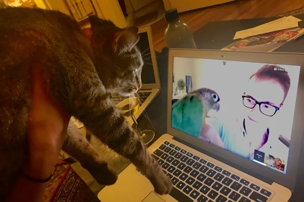 Léon and George facetime