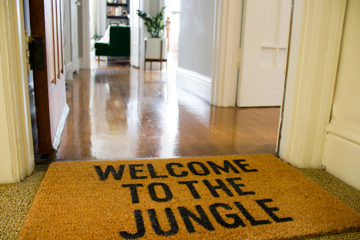 w-j-jungle-welcome.jpg