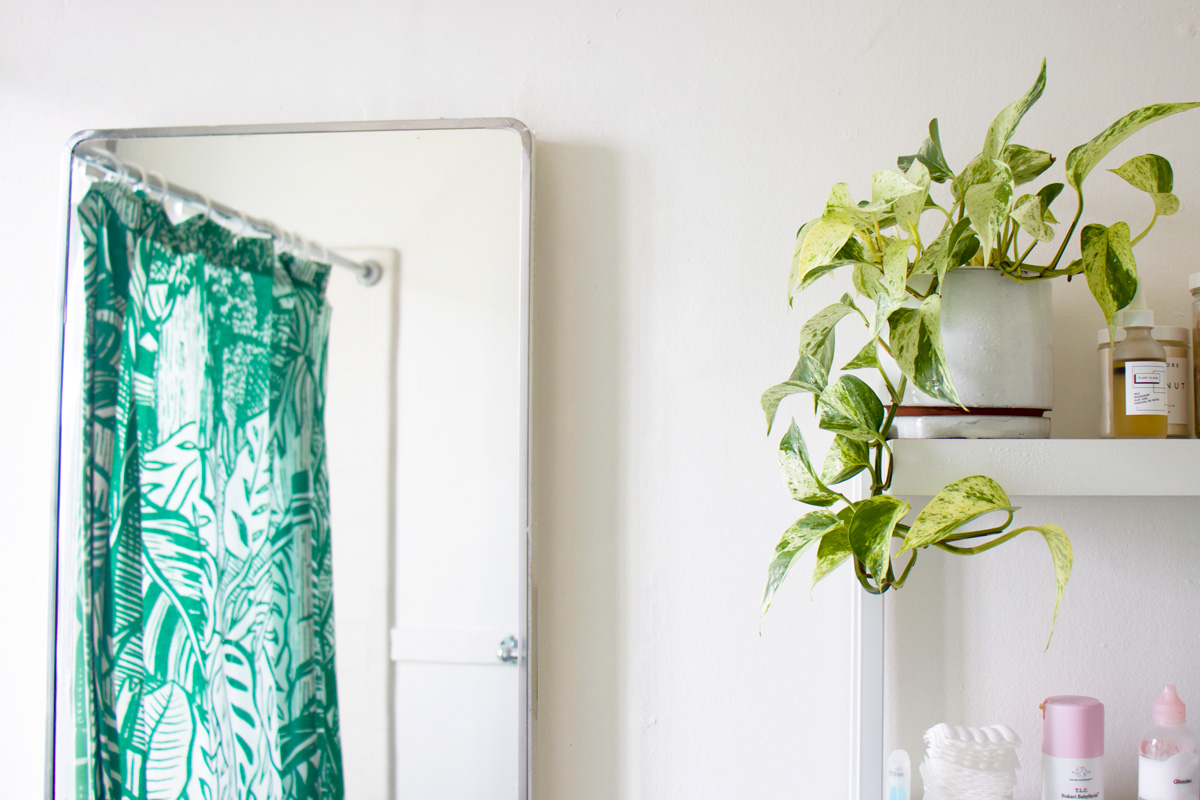 w-j-pothos-bathroom.jpg
