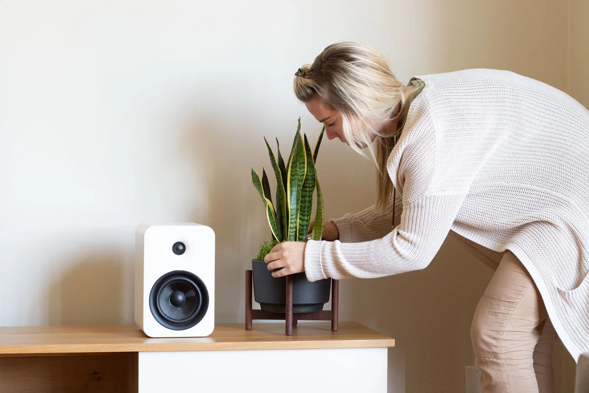 people-snake-plant.jpg