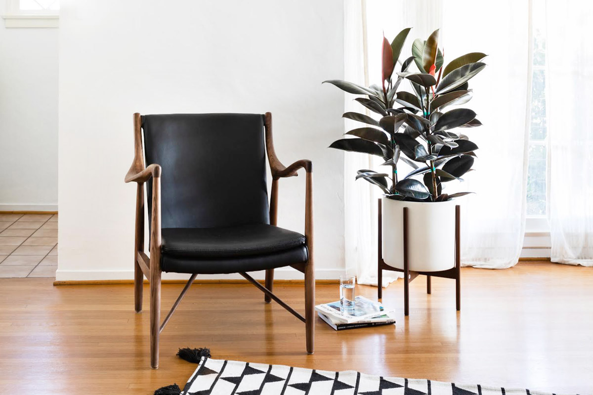rubber-tree-stand.jpg