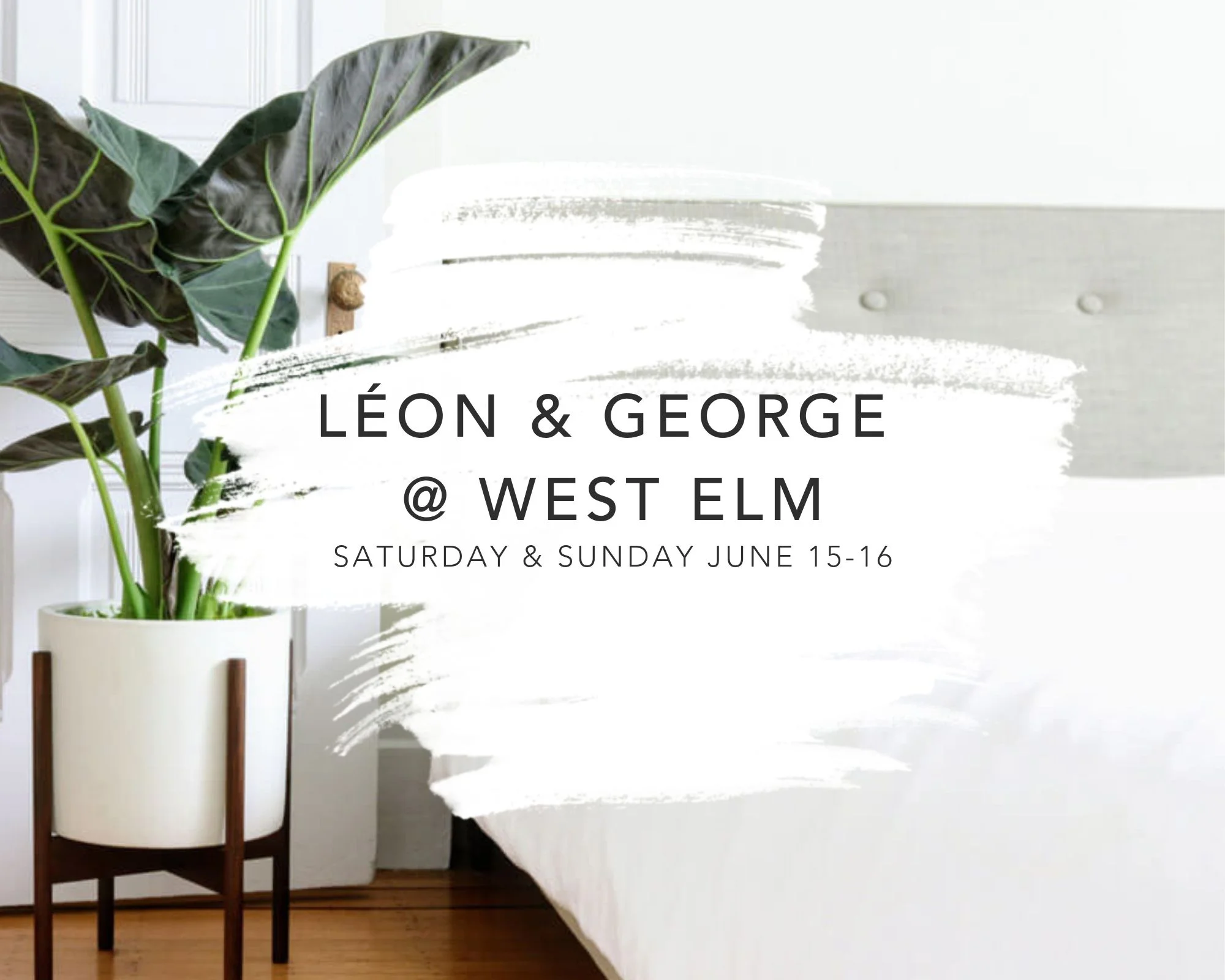 West Elm plants