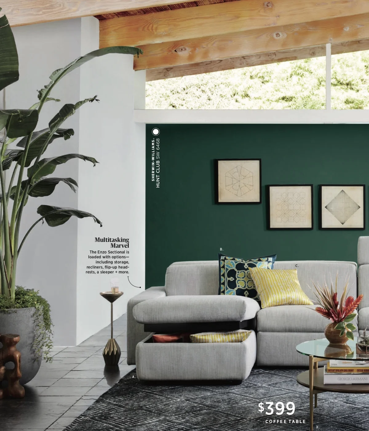 A Bird of Paradise that pulls together the room’s color story. Photo: West Elm .