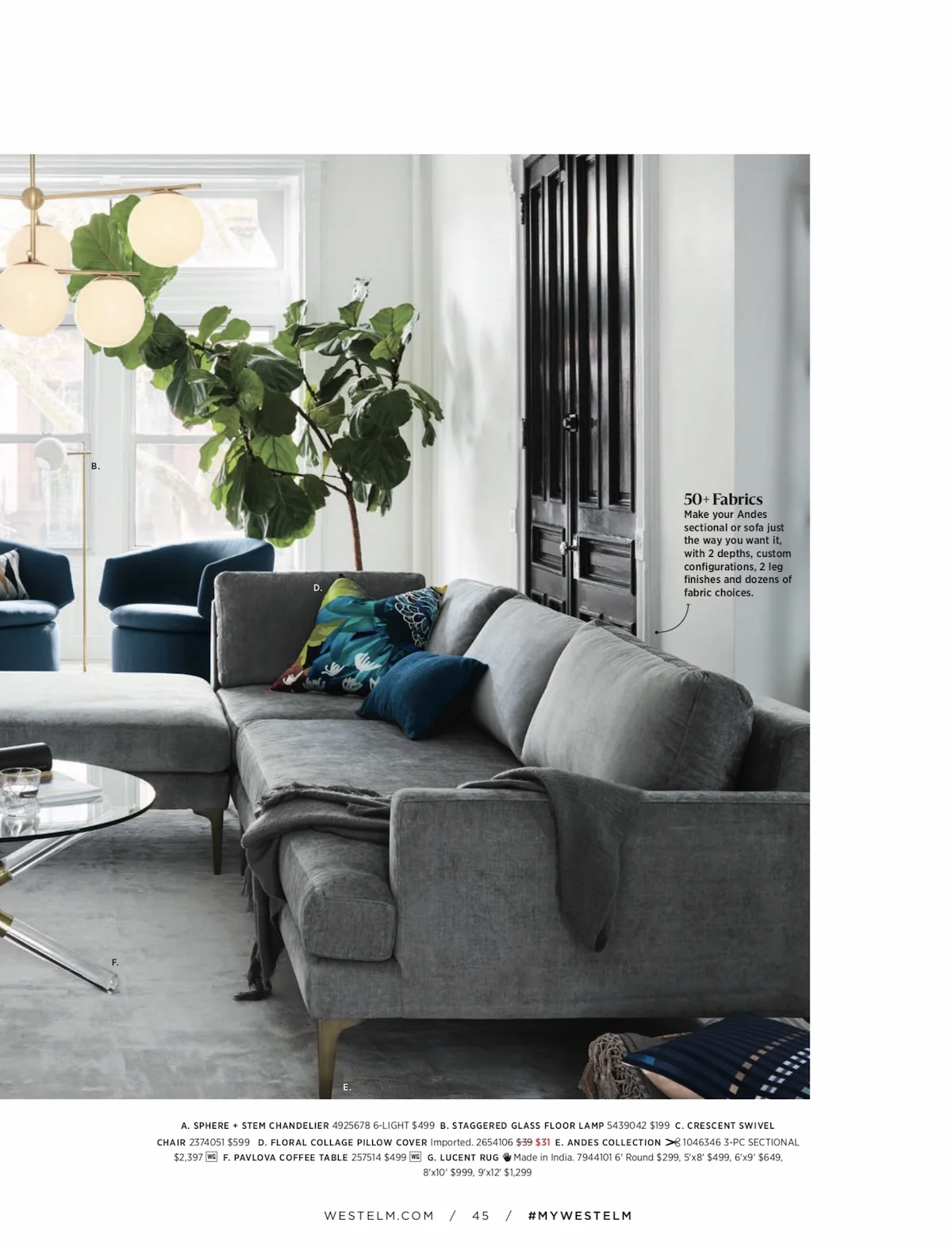 A Fiddle Leaf Fig Tree creating visual interest against white walls and windowpanes. Photo: West Elm .
