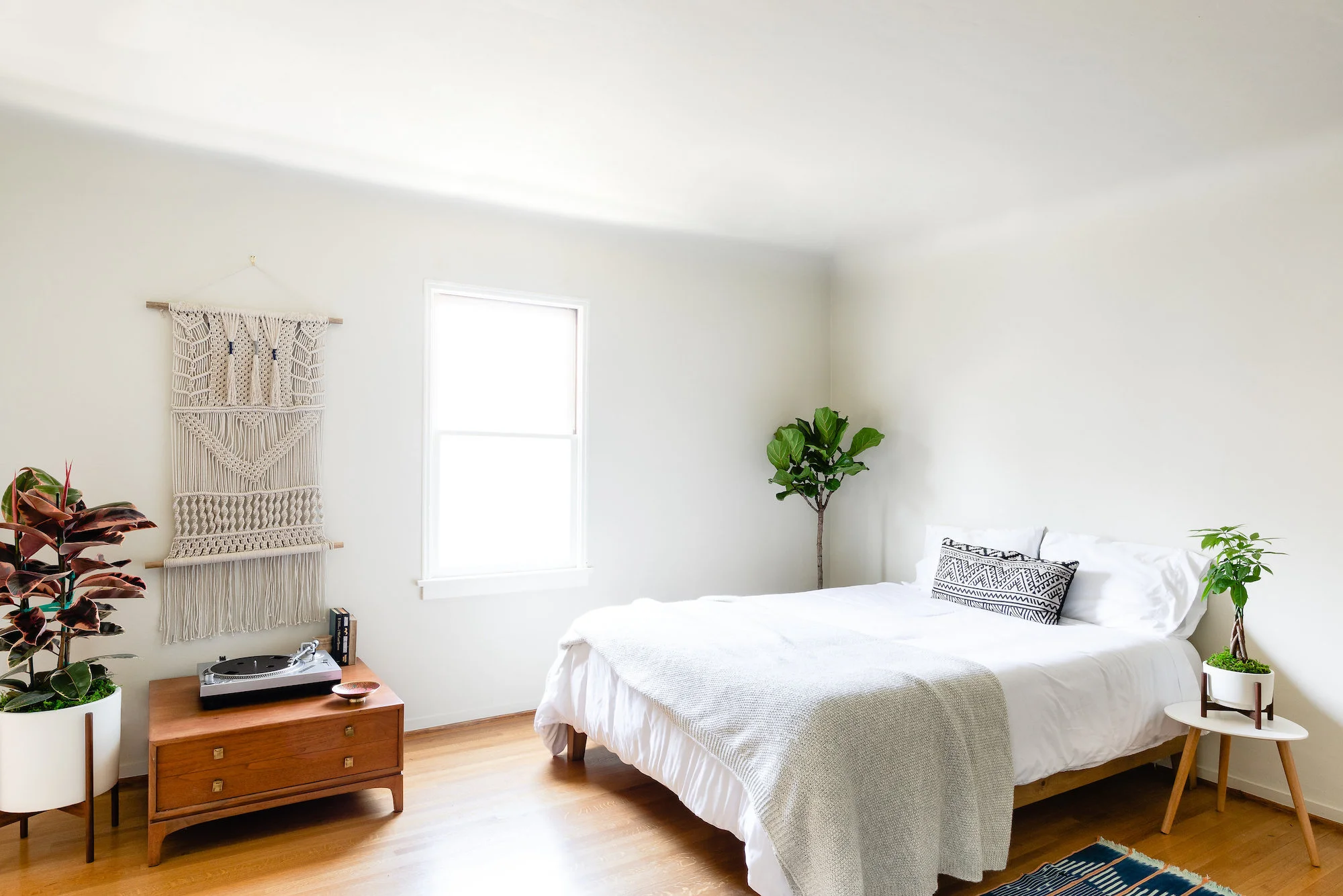The Best Plants For A Bedroom — La Résidence · Plant Care Tips and More