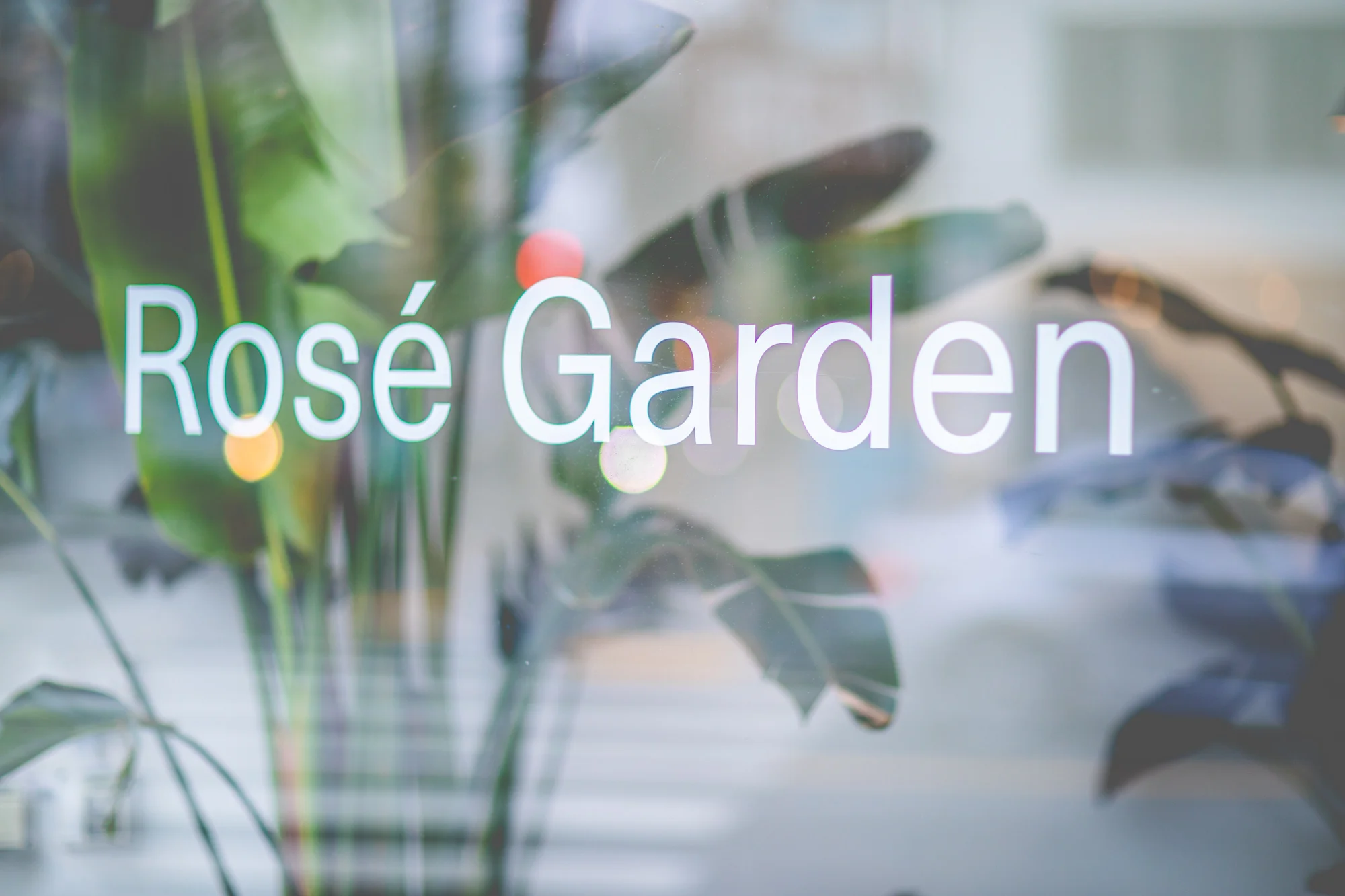 The Rosé Garden is a temporary installation inside Usual Wines’ new retail space on Chestnut Street.