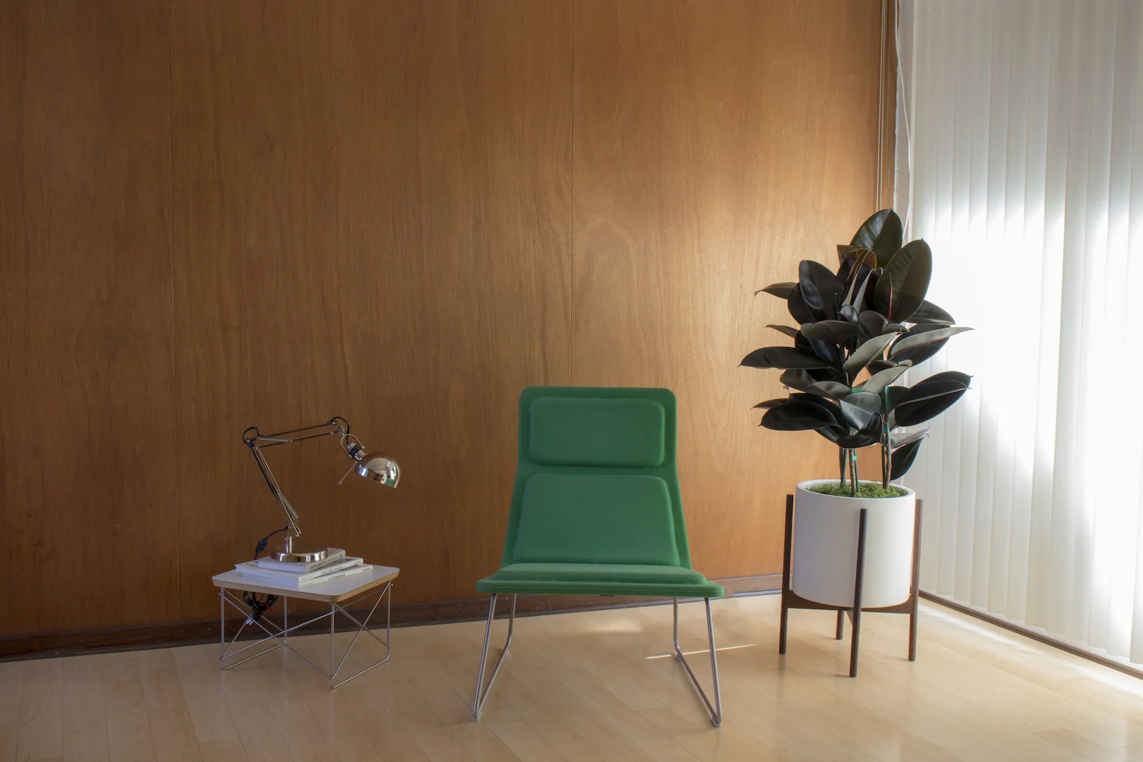 The Zanzibar Gem is a great low light plant perfect for offices with no sun.