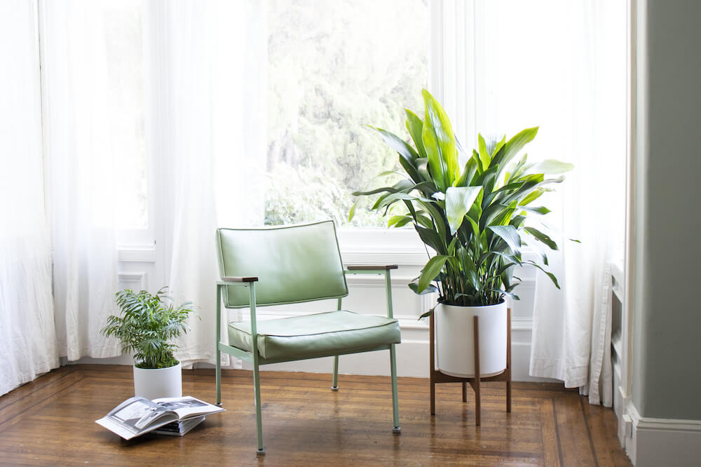 white-stand (1) (1).jpg