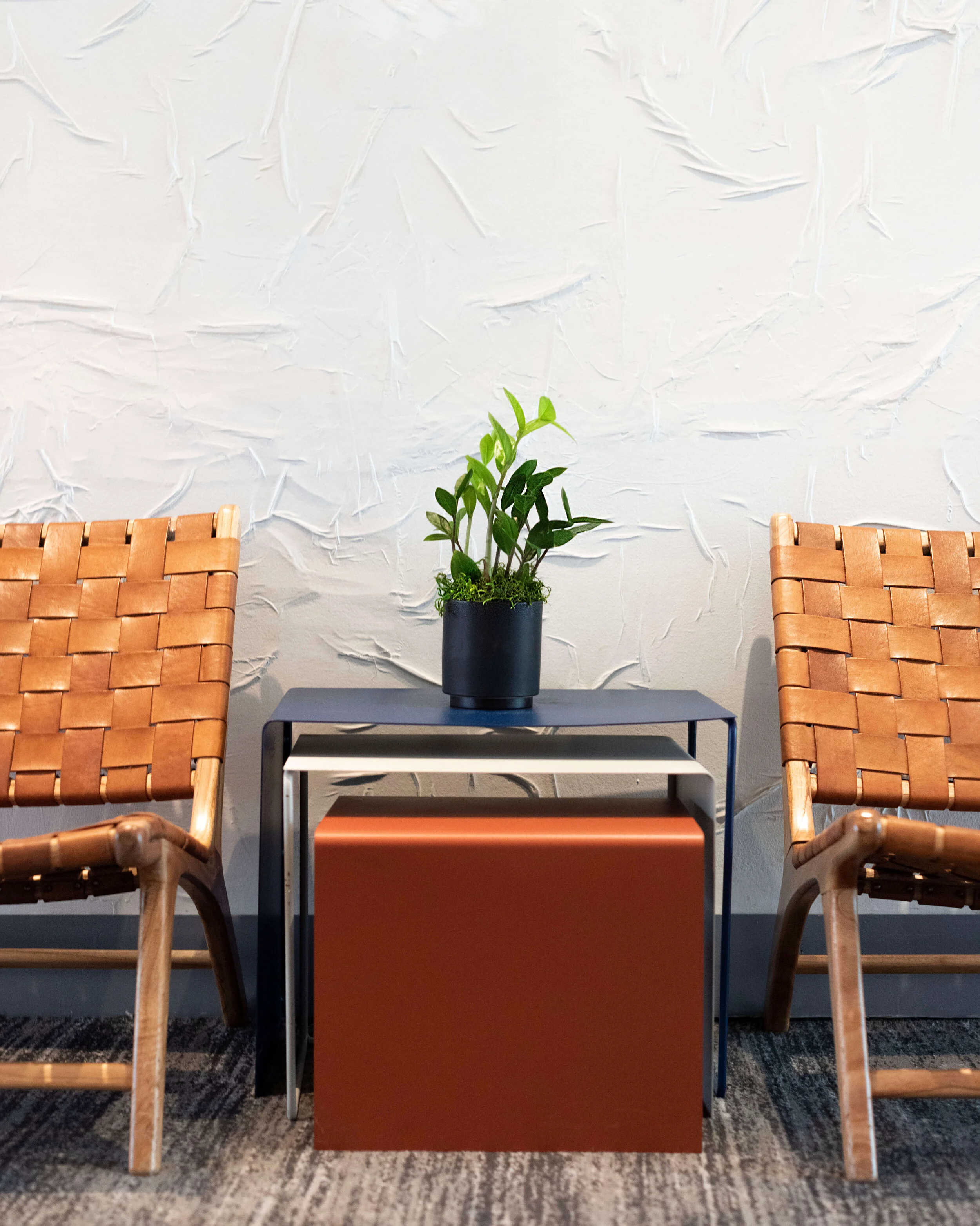 The Best Easy Care Office Plants — Plant Care Tips and More · La Résidence