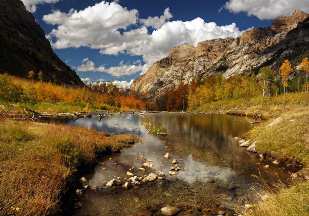 Humboldt-Toiyabe National Forest, Nevada & California. Photo courtesy of the National Forest Foundation.