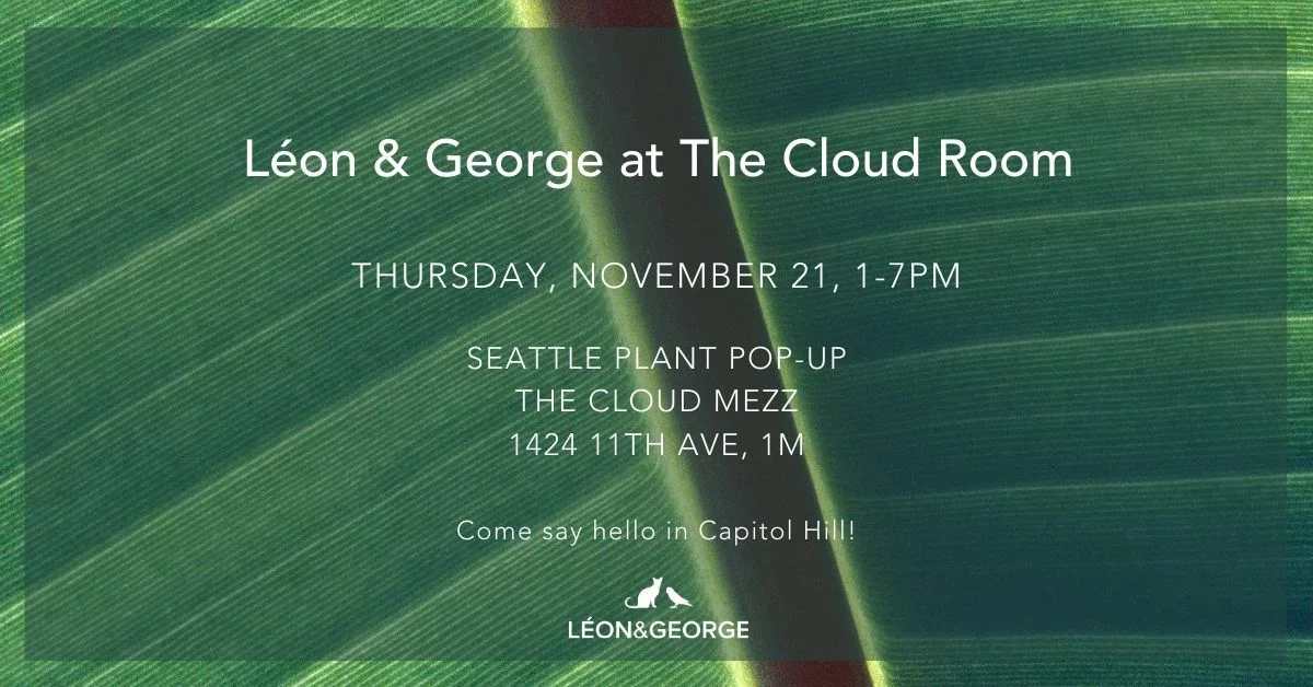 Seattle plant pop-up