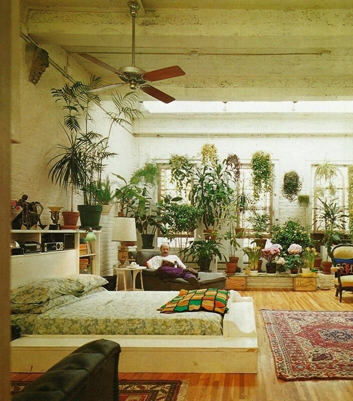 A Brief History Of Houseplants