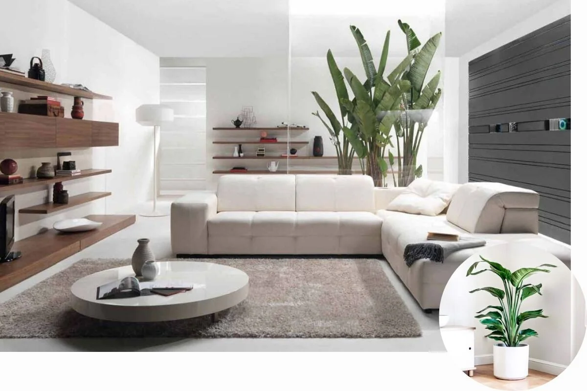 10 Living Room Styles And The Plants That Go With them — Plant Care ...