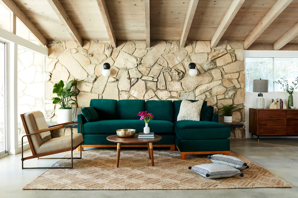 The Most Popular Houseplants Of Mid Century Modern Decor La Residence Plant Care Tips And More