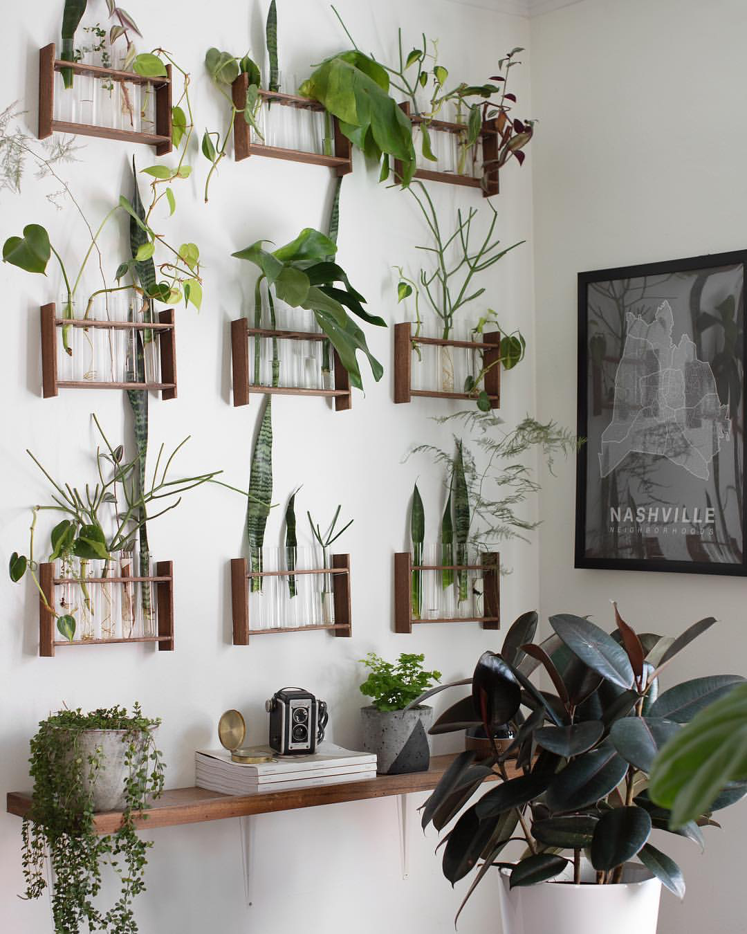 5 Creative Ways To Use Plant Leaves As Decor — Plant Care
