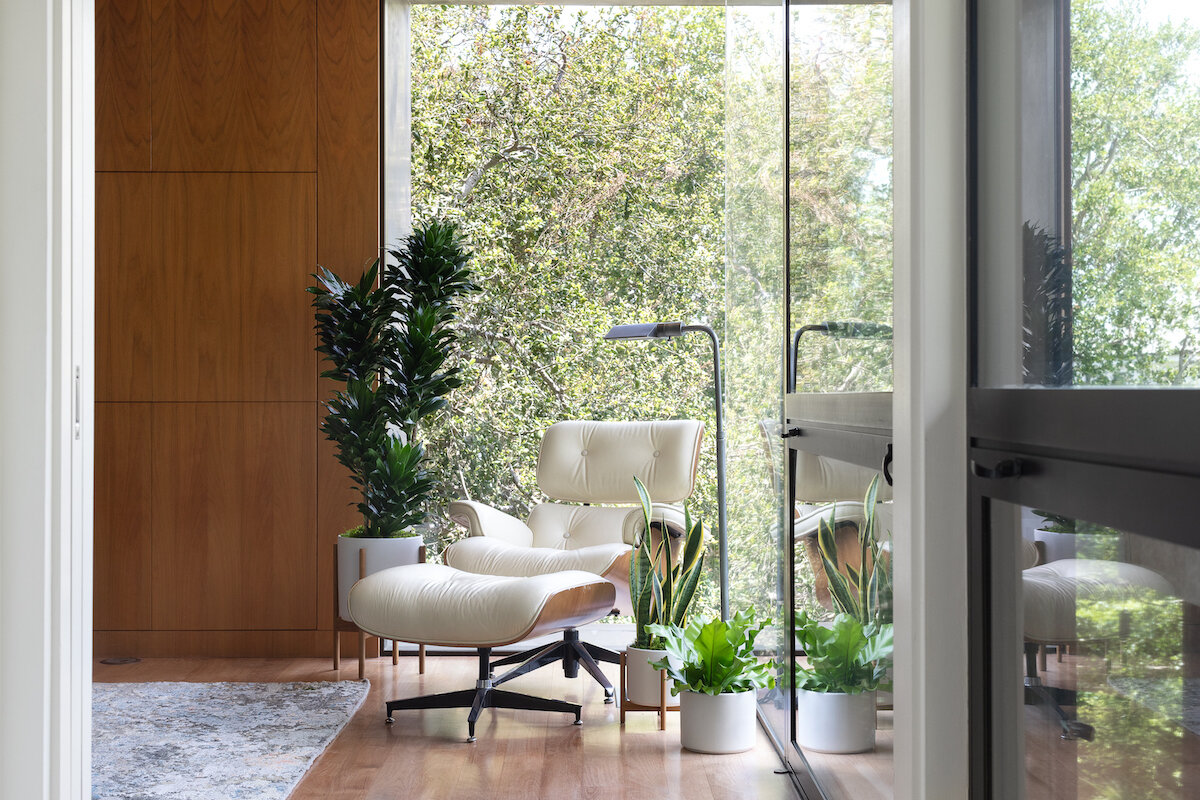 How To Arrange Indoor Plants How To Arrange Indoor Plants