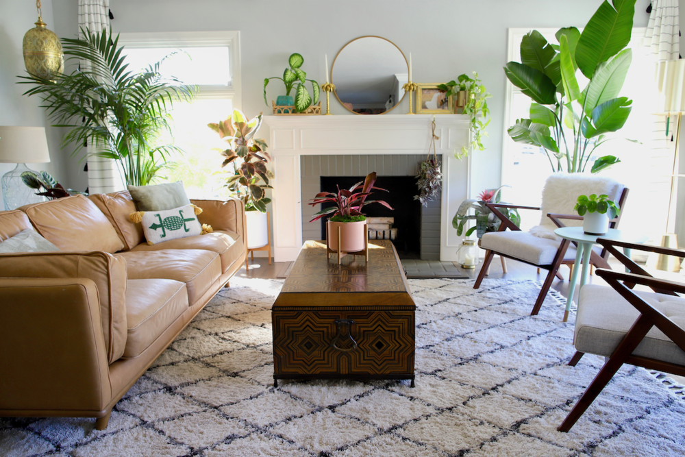 Squad Goals: How to Arrange Indoor Plants Like a Pro — Plant Care Tips and  More · La Résidence