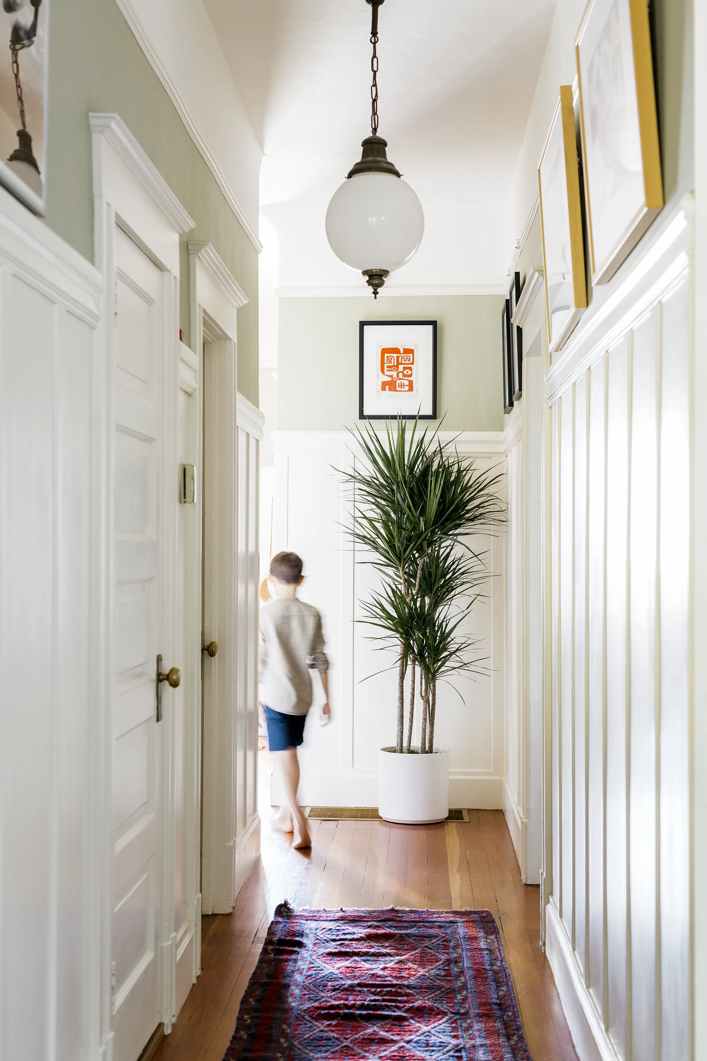 The Absolute Best Plants For A Hallway — Plant Care Tips and More · La