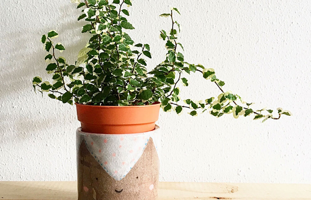 bloed niet Waterig How To Fit Your Plant To Your Pot — Plant Care Tips and More · La Résidence