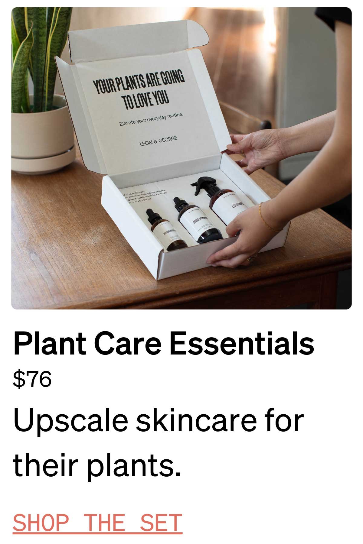 plant lover gift ideas