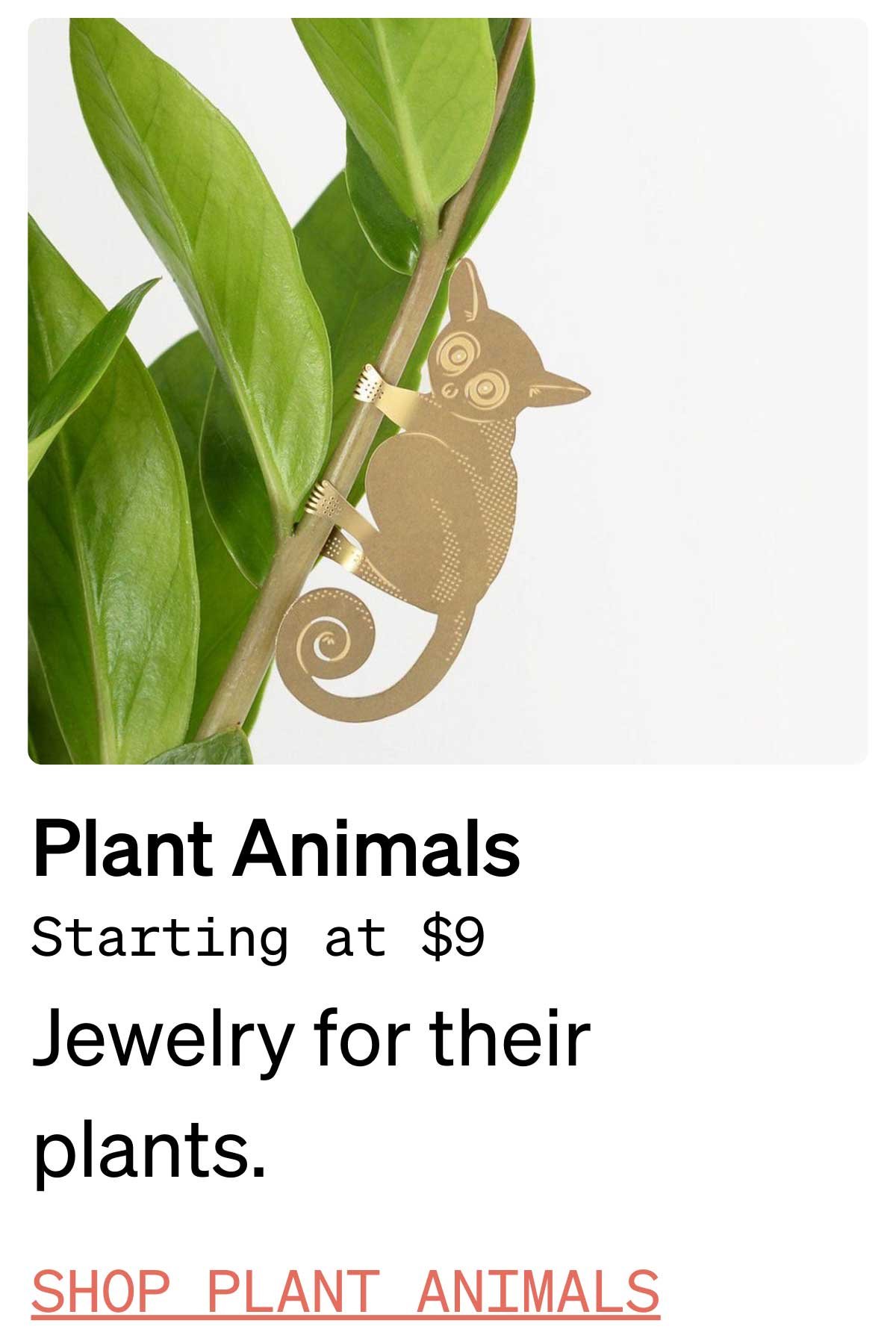 plant lover gift ideas