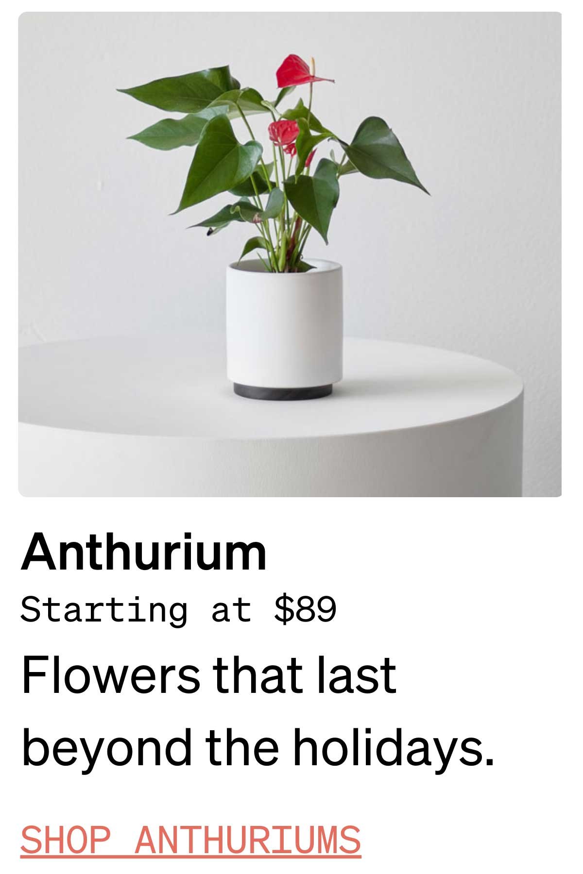 plant-gift-guide8.jpg