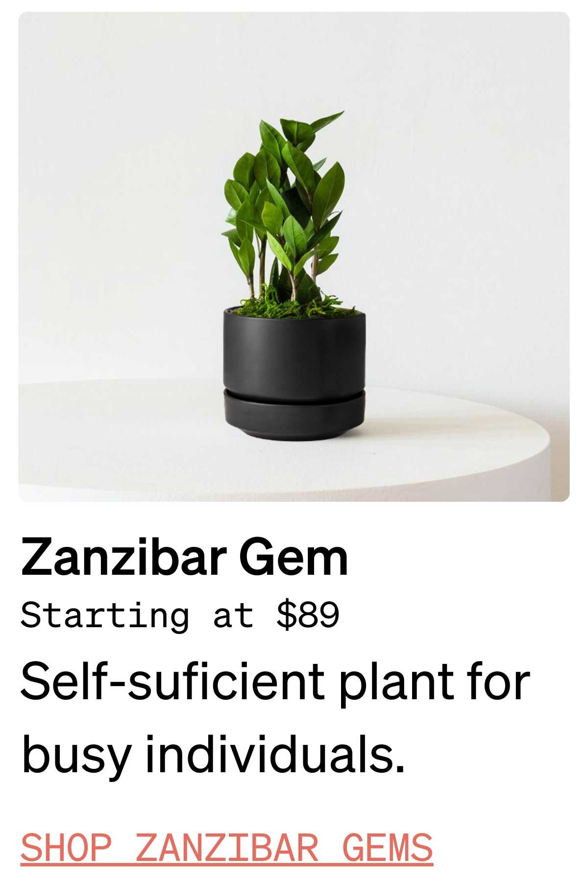 plant-gift-ideas.jpg