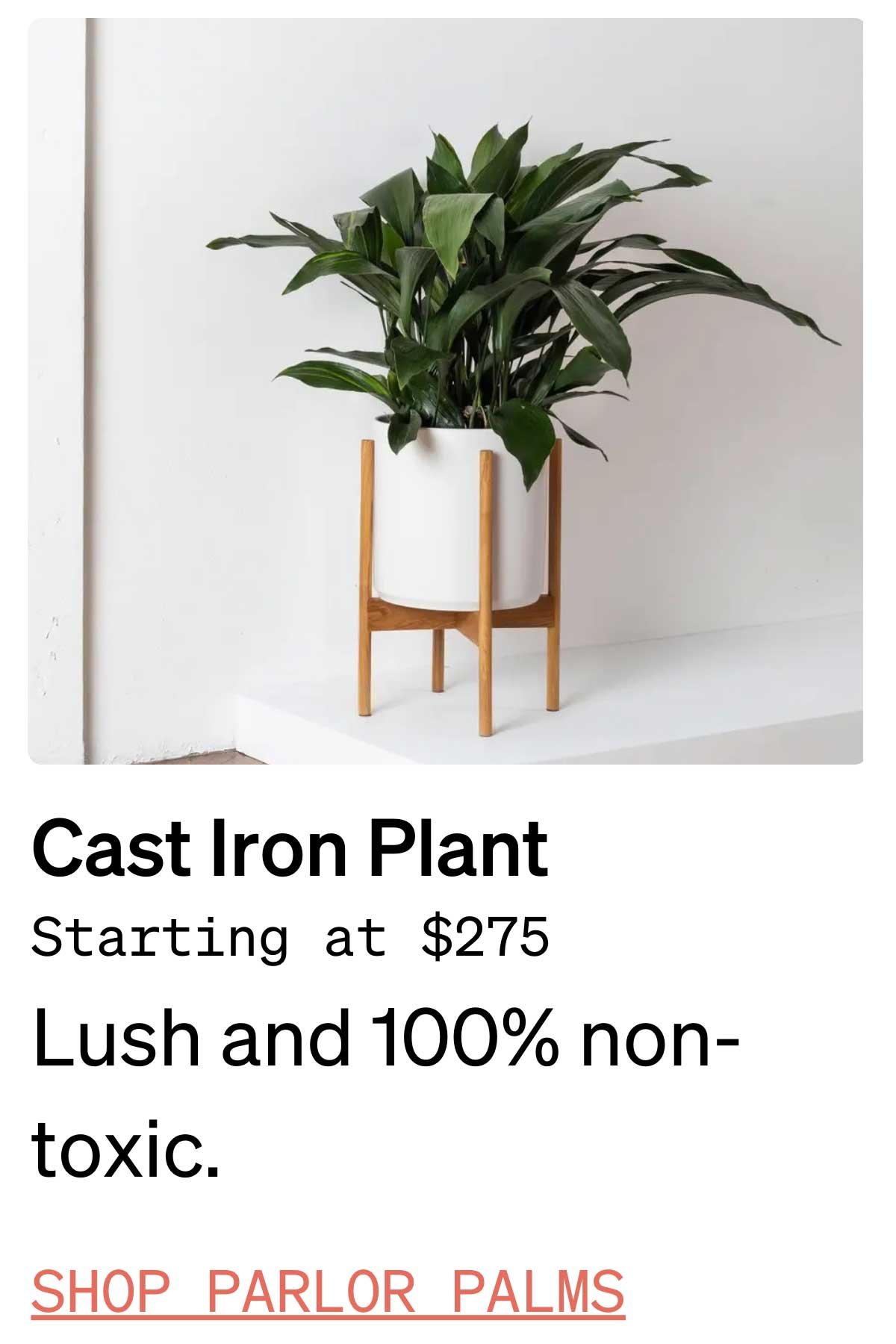 plant-lover-gift-ideas-pets.jpg