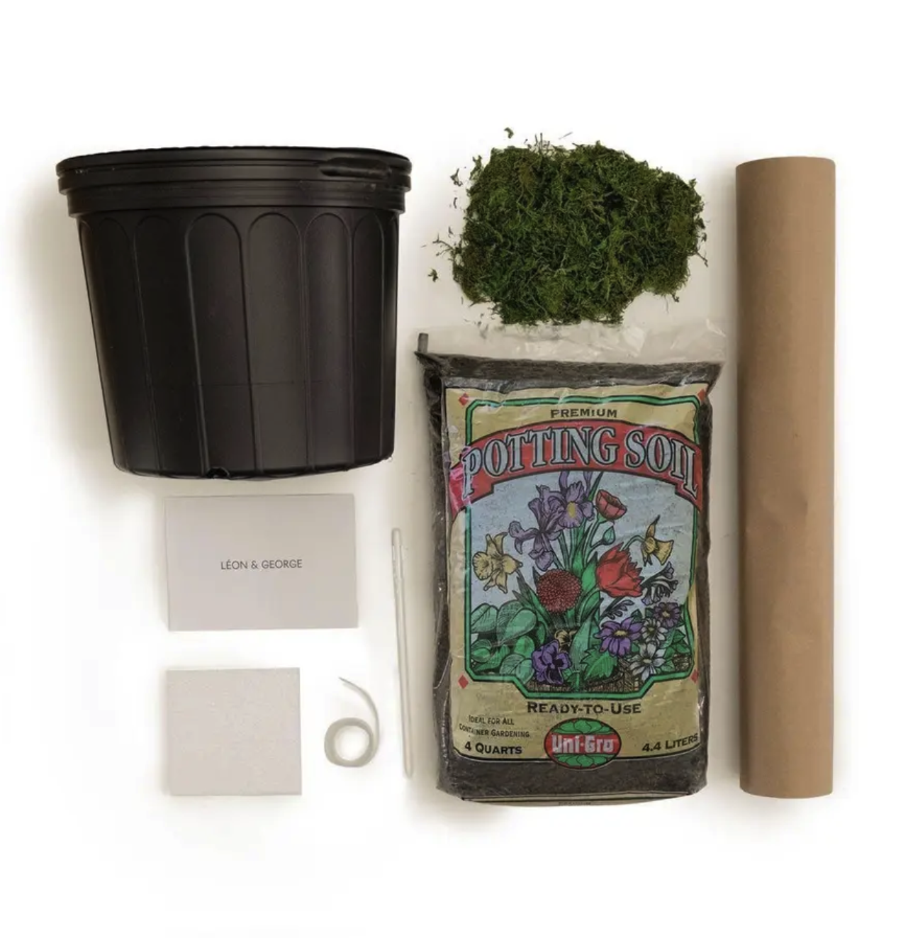 What You Need To Know Before You Repot Your Plant — Plant Care Tips and